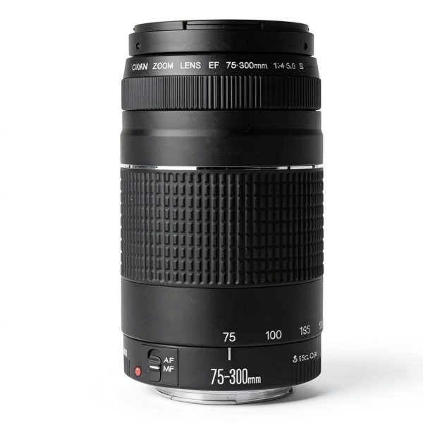Canon EF 75 300mm Lens Telephoto Zoom OIS Full Frame-1